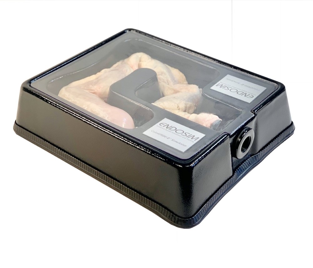 Endosim ColoEASIE-2 Endoscopic Real Tissue Simulator