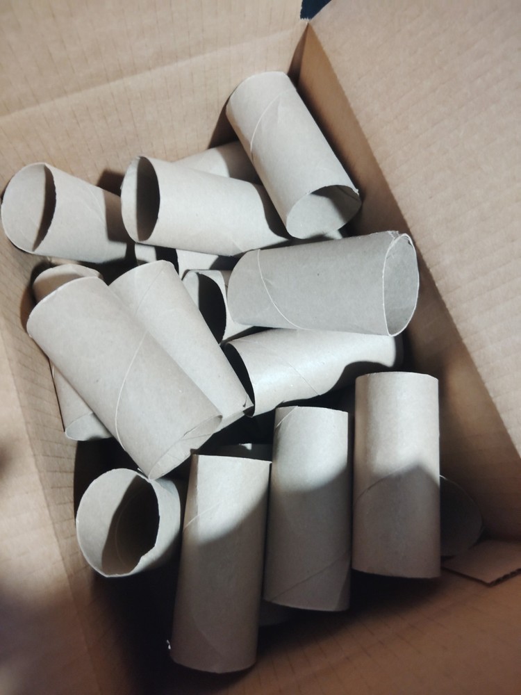 30 Cardboard Rolls Lot for Crafting Projects