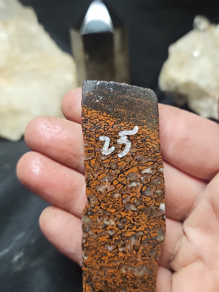 Gem Bone W/ Crystallization Slab Specimen (51.9 Grams)