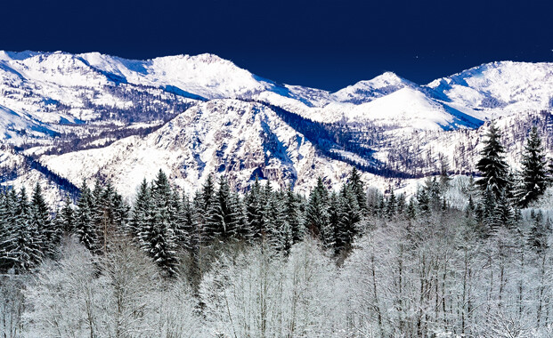 TrainJunkies Christmas North Pole