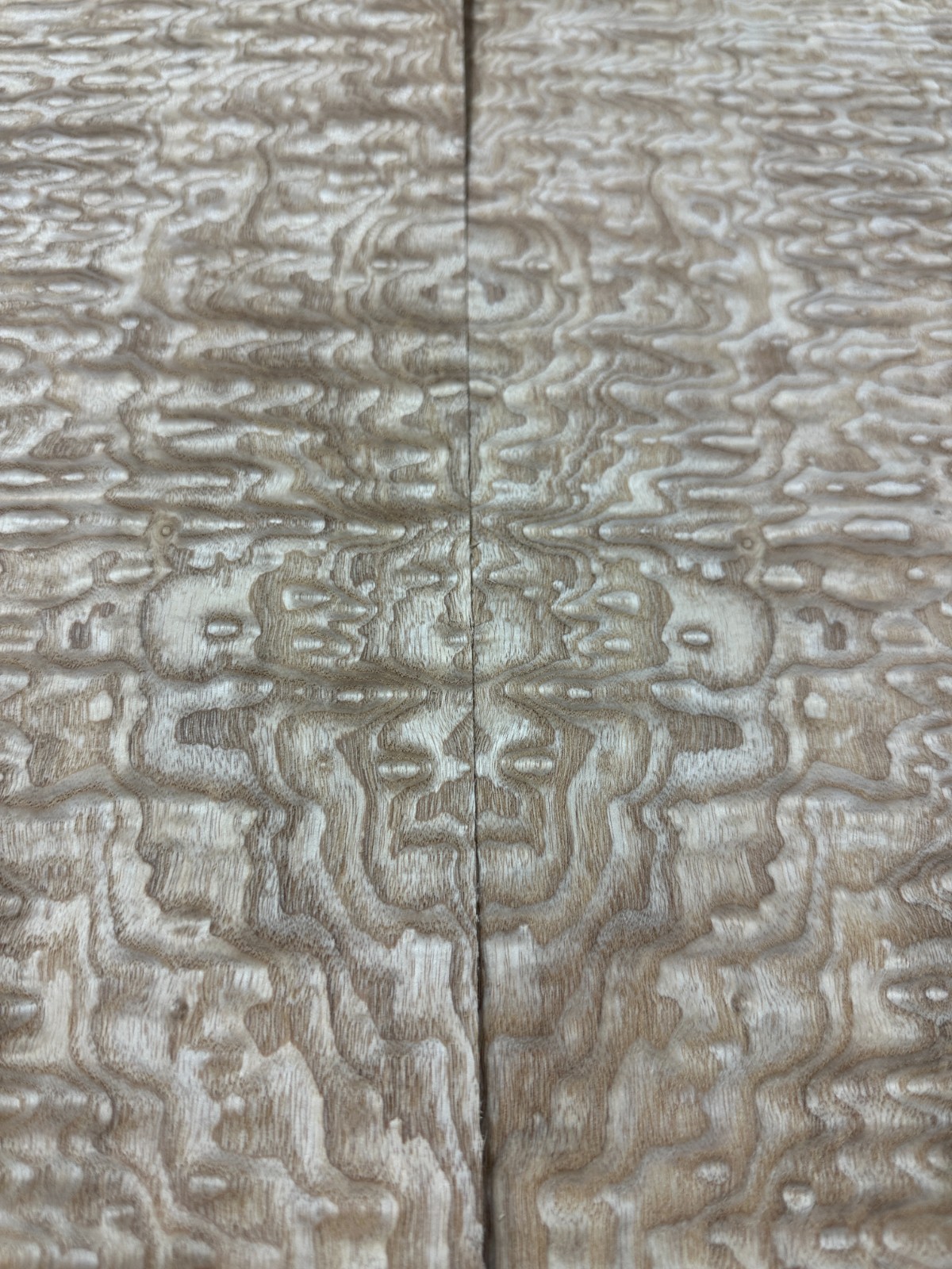 Tamo Ash Raw Wood Veneer 2 sheets 35'' x 15'' 319V