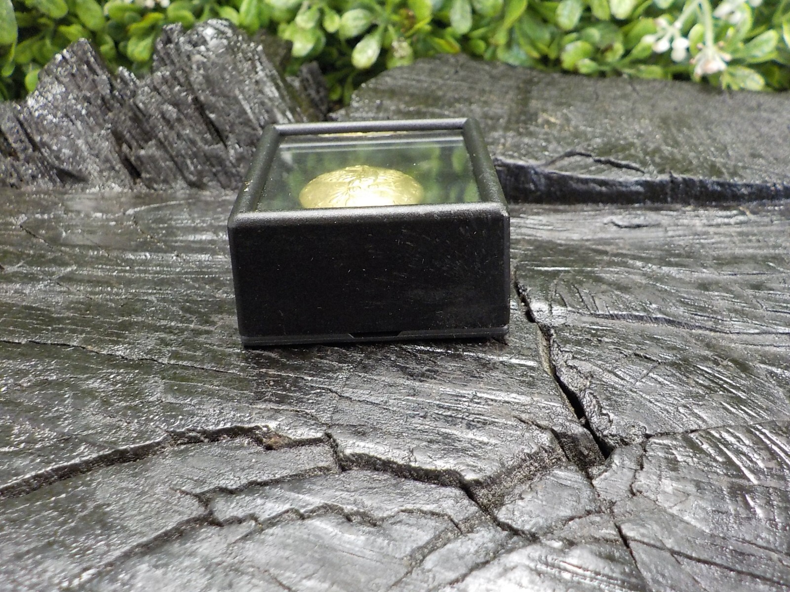 Old Rare Vintage Antique Relic Pre Civil War Militia Officers Coat Button w/Gold