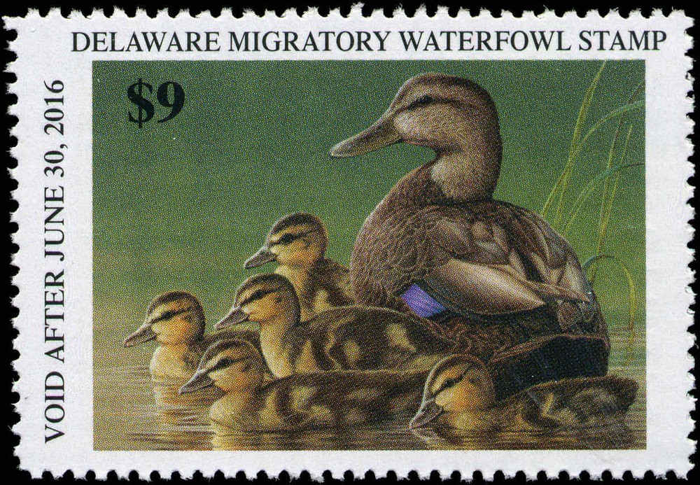 DELAWARE  #35  2015  STATE DUCK STAMP BLACK DUCK