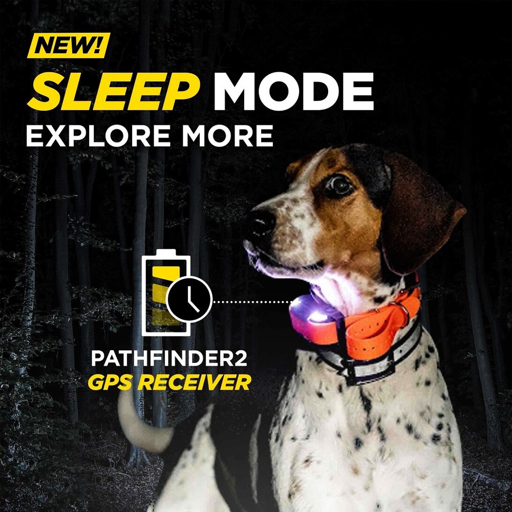 Dogtra PATHFINDER2 MINI Dog Collar Receiver GPS Tracking / Training & E-Fence