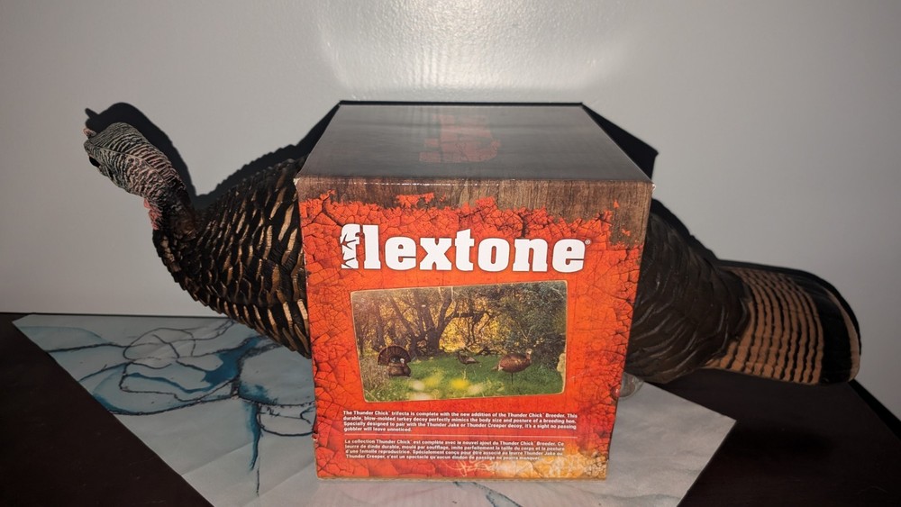 Flextone Thunder Chick Breeder FLXDY331 Free Shipping