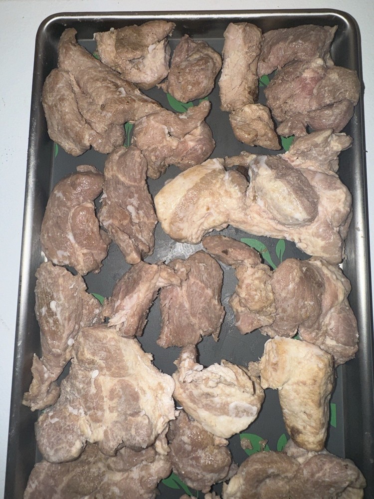Freeze Dried Cooked Marinated Pork 5 oz