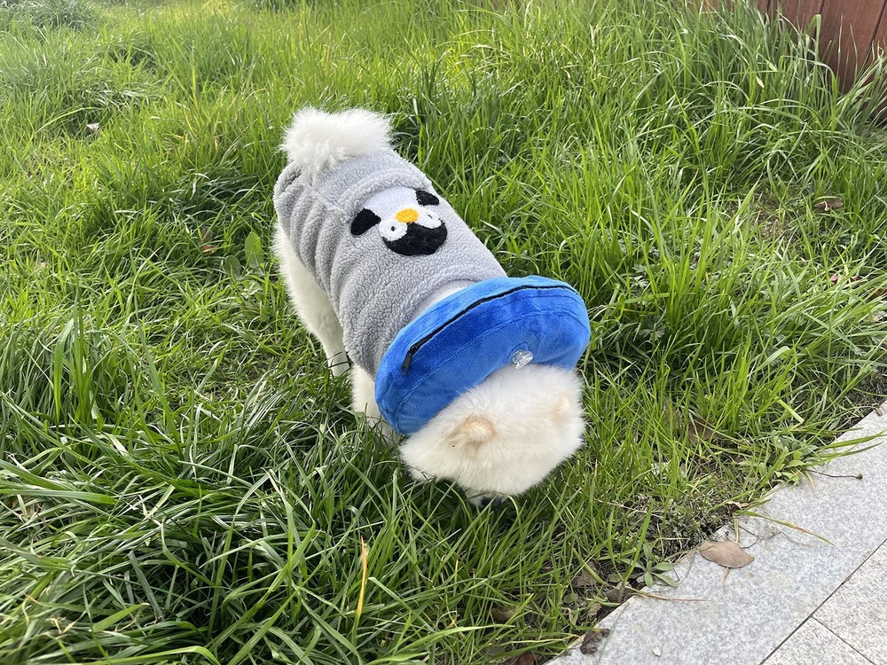 Small Inflatable Pet Collar Adjustable Alternative to Cone Post-Surgery Recovery