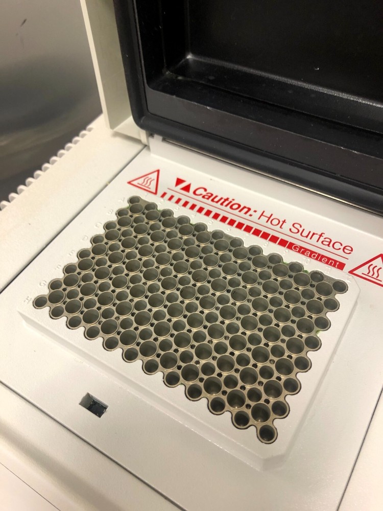 Eppendorf 5331 Mastercycler Gradient PCR Thermal Cycler