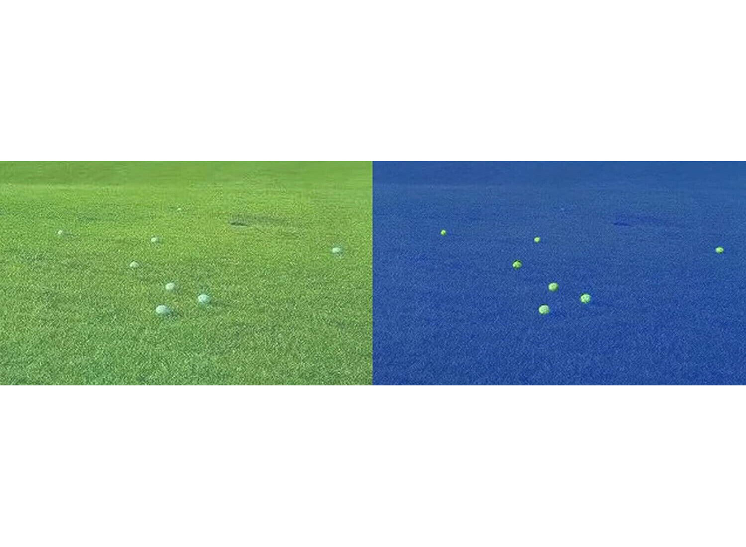 1~10Pack Mushroom Finding & Antler Shed Hunting Blue Hunting Finder Glasses USA