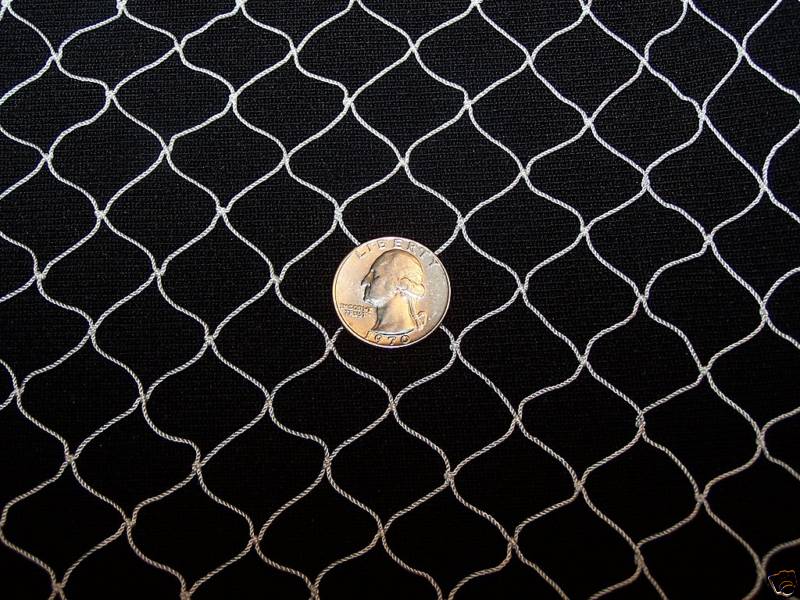 10' x 50'  Avairy Net Chickens Ducks Barrier Poultry Netting  1"  #208