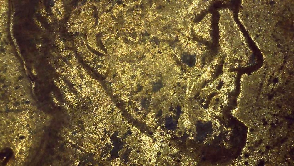 1979 D Lincoln Penny error repunched mintmark