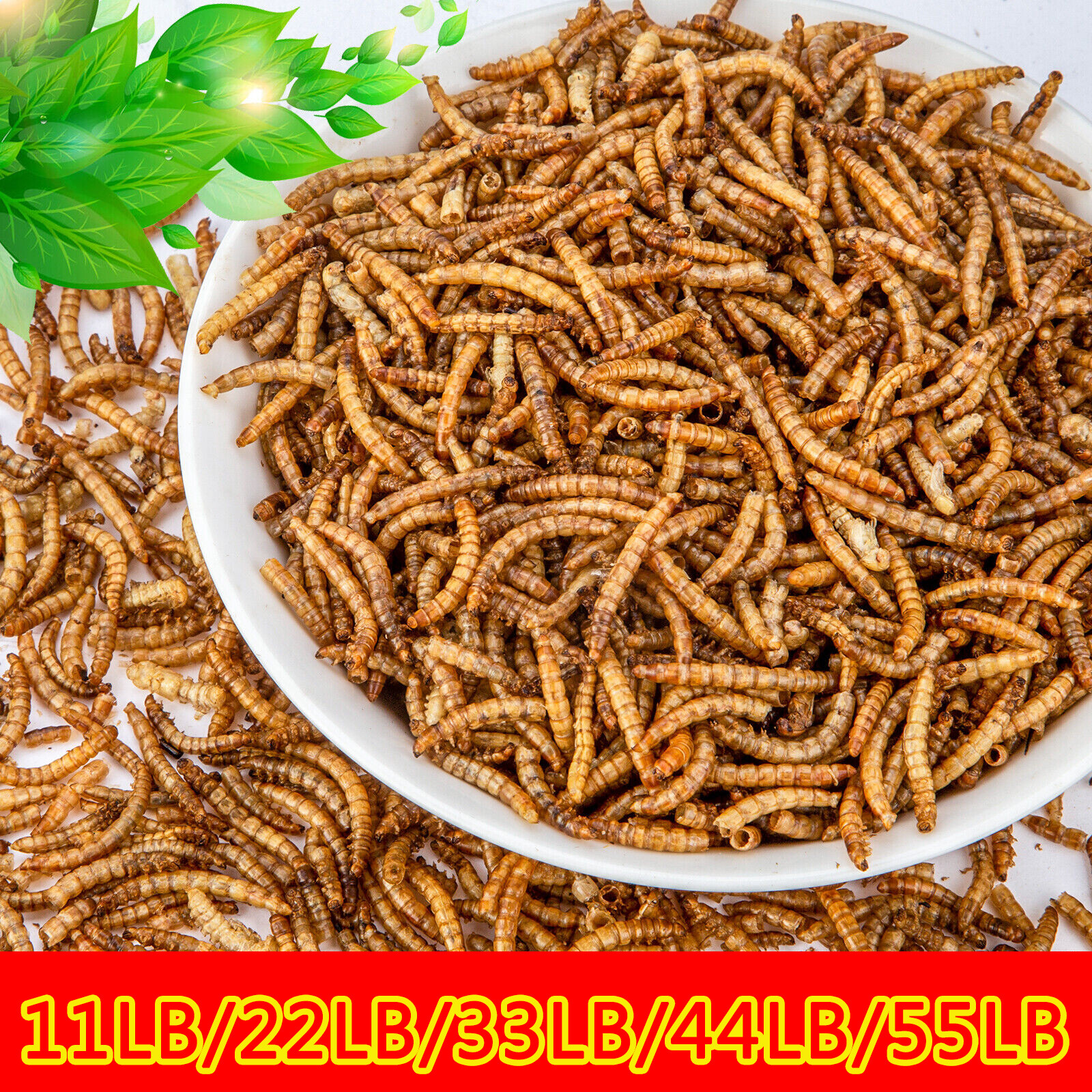 11/22/33/44/55lb Dried Black Soldier Fly Larvae Mealworms for Reptiles & Chicken