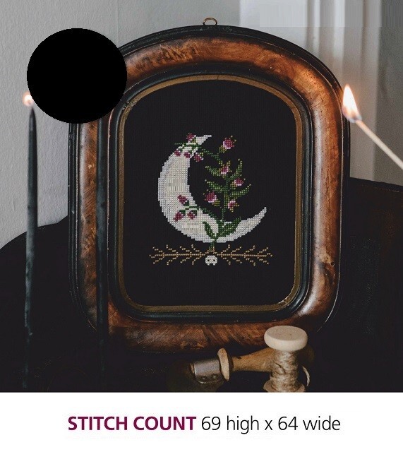 FLOWERING NIGHTSHADE   CROSS STITCH PATTERN  ONLY    EQ - PAY