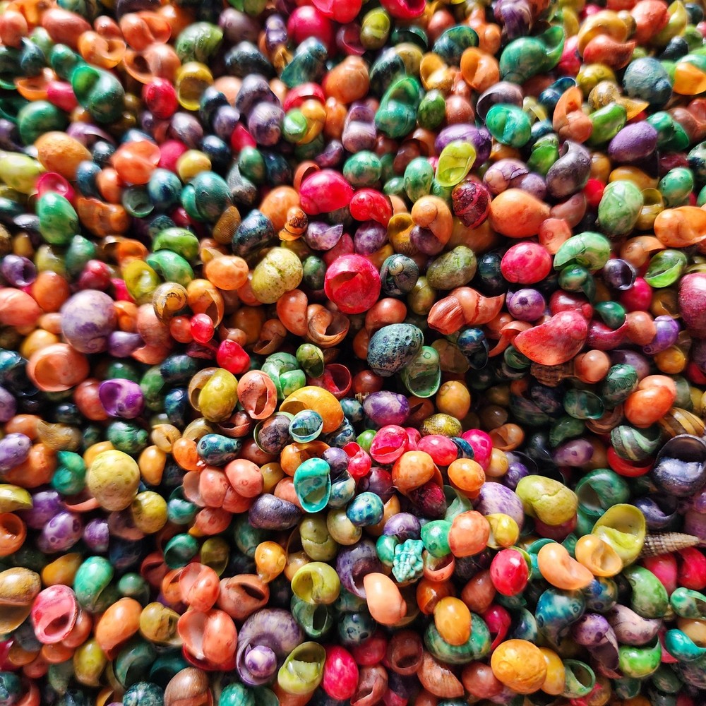 Tiny Dyed Shells Craft Supply Assorted Colors 100g Bag 6–9mm