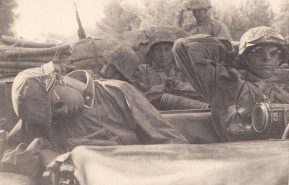 Repro WWII German Tortoise Shell Round MG Blendschutzbrille Sunglasses 1940s Vtg