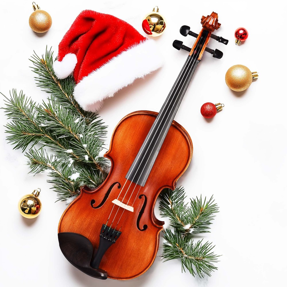 Solid Wood Violin 4/4 Full Size Set Beginner Fiddle for Student with Case