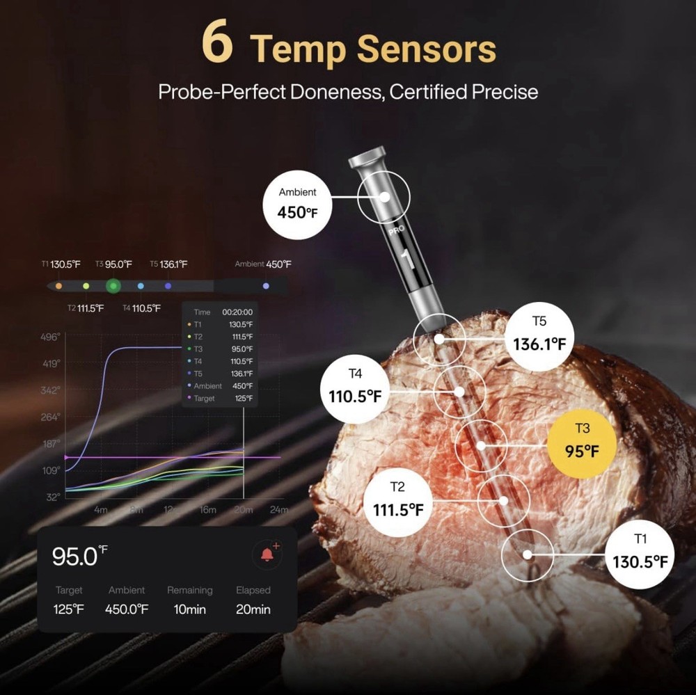 Typhur Sync Gold Lite Smart Wireless Thermometer Model WT10 (No Manual)