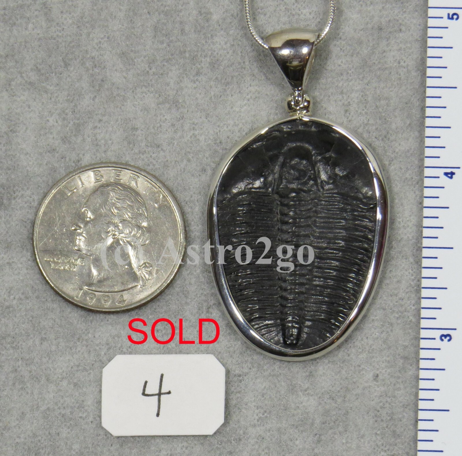 Elrathia Kingii TRILOBITE PENDANT $109 Sterling Silver Jewelry STARBORN CREATION