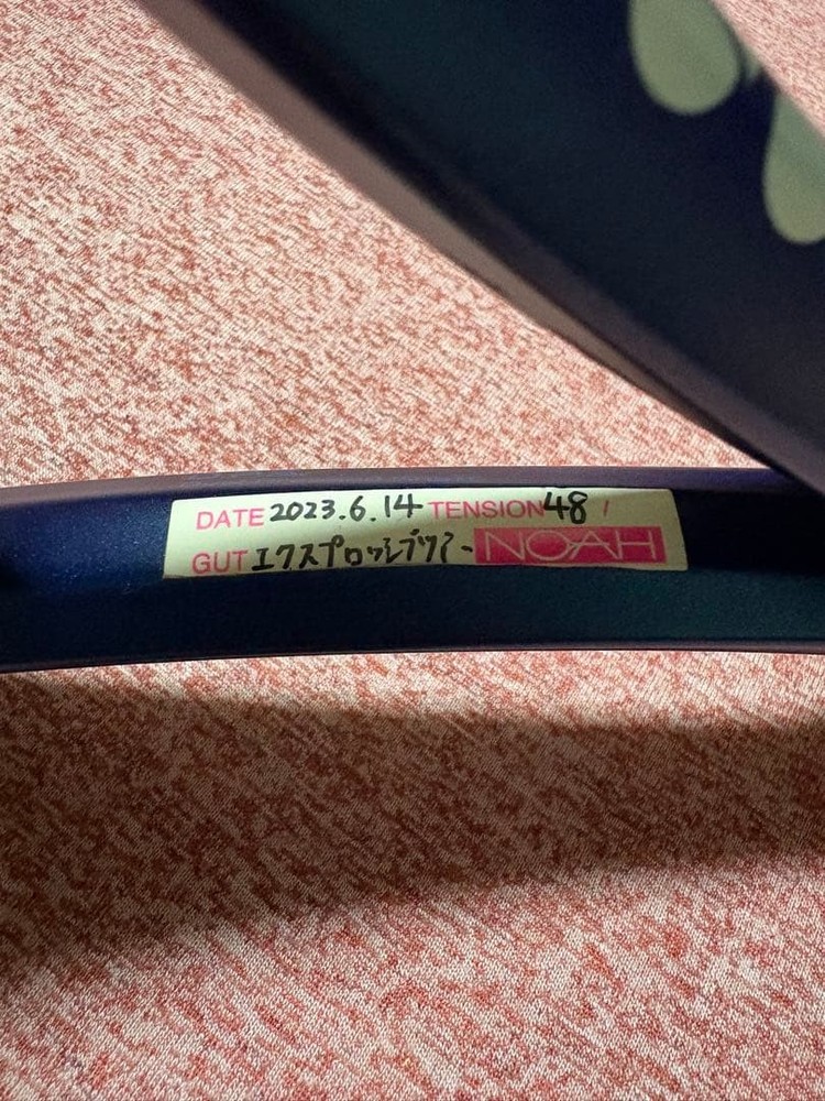 YONEX ISOMETRIC EZONE 100 G3