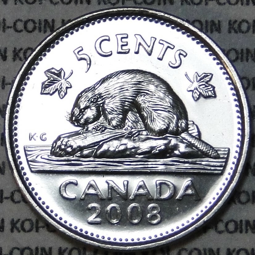 BU UNC Canada 2008 nickel beaver five 5 cent 5c coin from mint roll Uncirculated