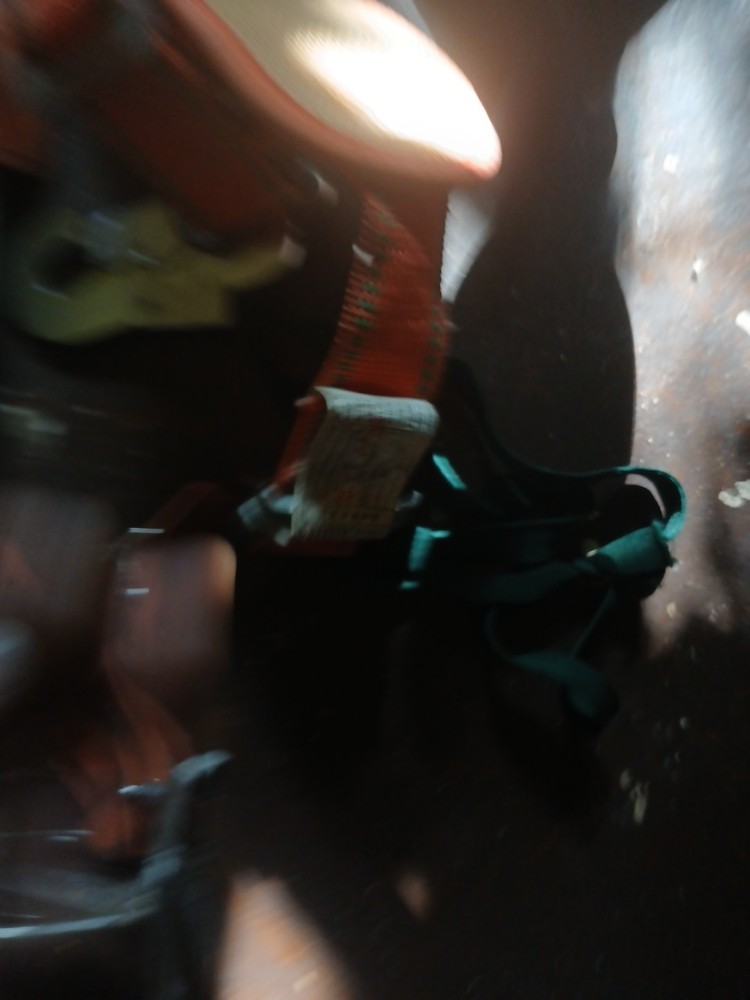 tree climbing gear used
