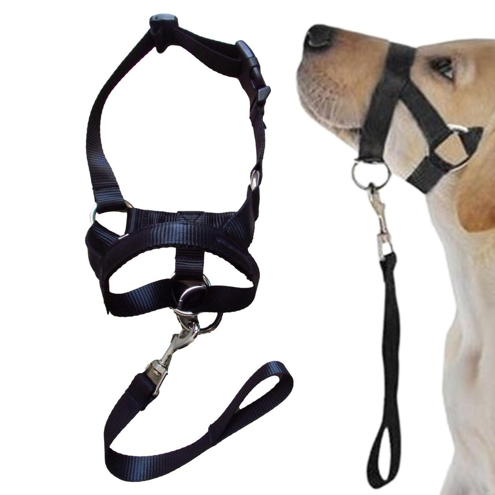 Training Harness Dog Halter Pet Muzzle W/ Straps | Training Holder Prevents