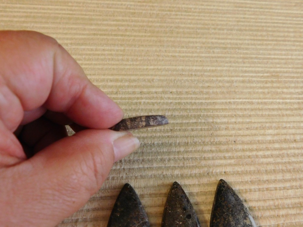 Dinosaur Bone Cabochons - 4 pcs