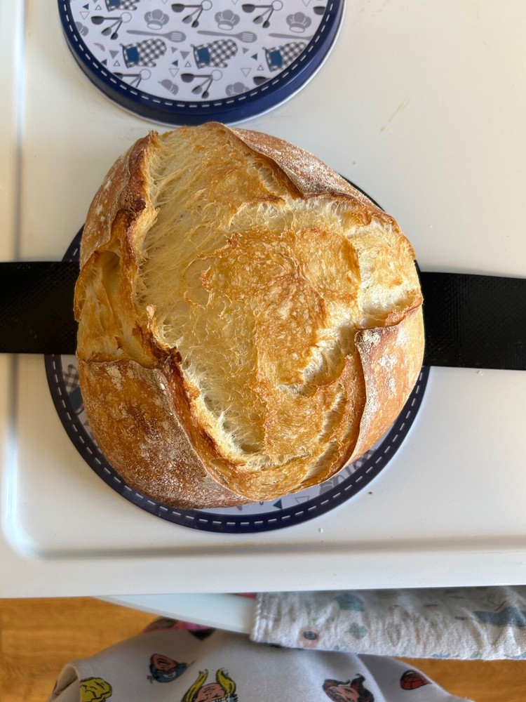 Dehydrated Sourdough Starter