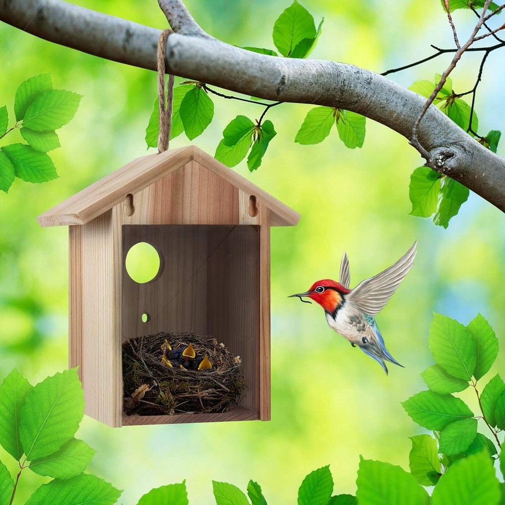 Transparent Window Bird Feeder, Easy Install Suction Cups