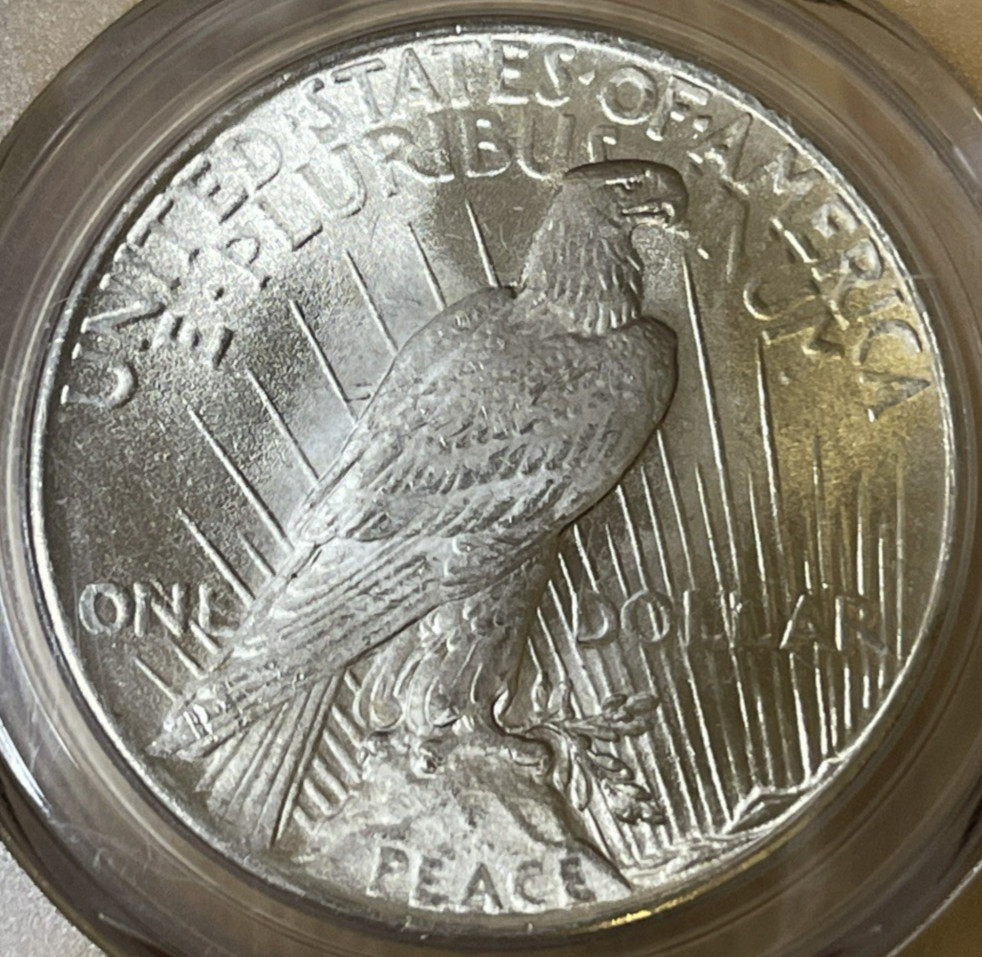 1924 Peace Silver Dollar PCGS MS64