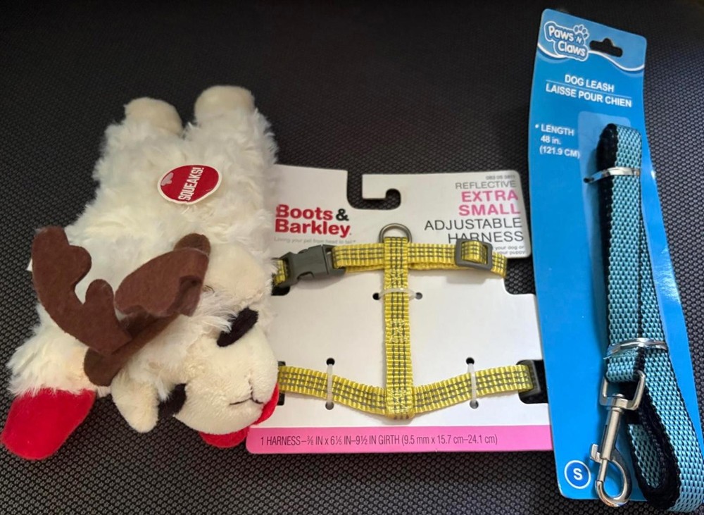 Extra Small Dog Christmas Gift Bundle