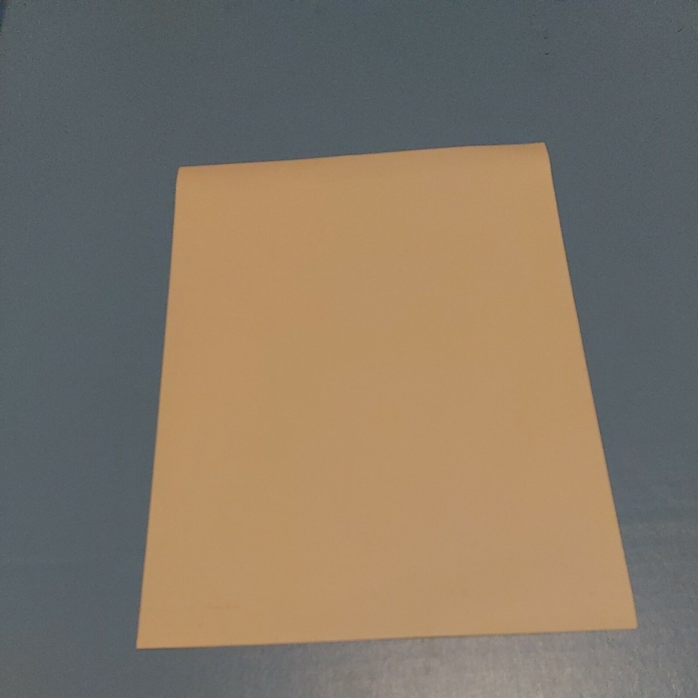 The Afghan Whigs 13 window decals for Do To The Beast 2014 PROMO Music Cling