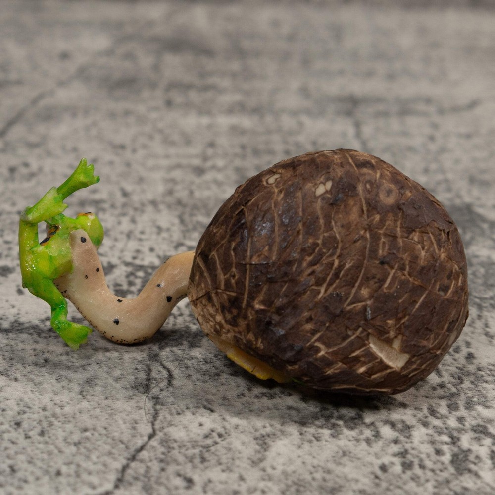 Snake Eating Frog Tagua Carving
