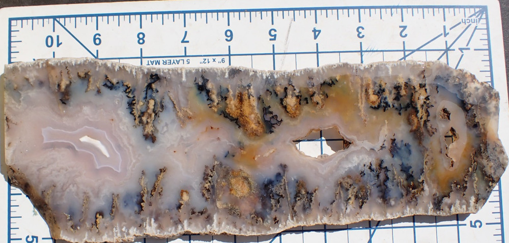 GRAVEYARD POINT PLUME AGATE BODACIOUS SLAB 367.5g 10x4"