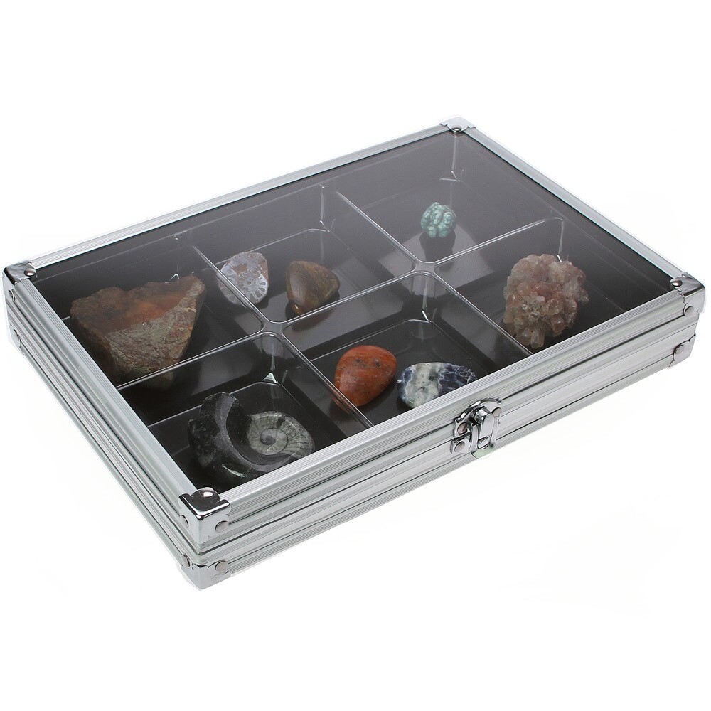 Aluminum Display Case Midi with 6 Compartments