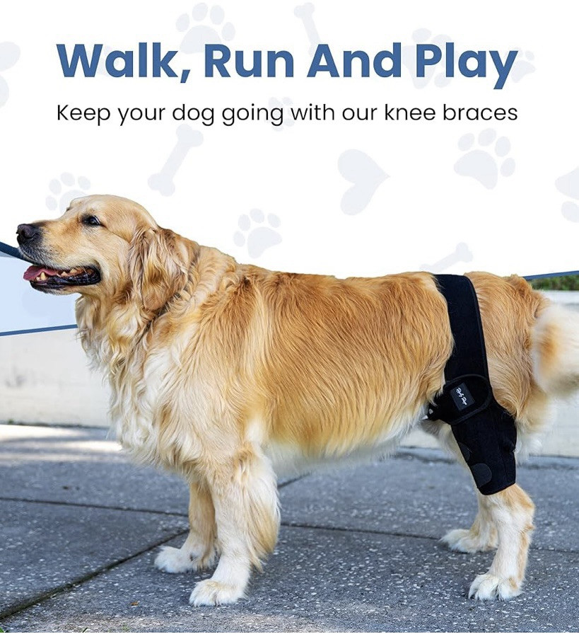 New! Rocky Rays Dog Knee Brace!