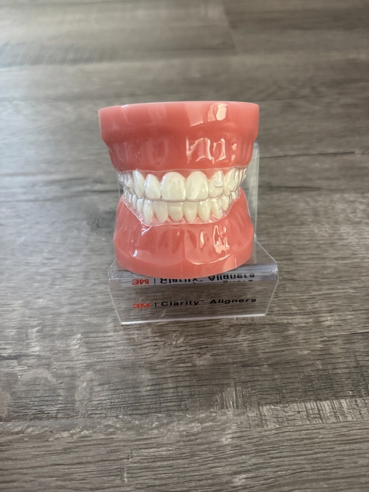 3M Clarity Aligner Typodont