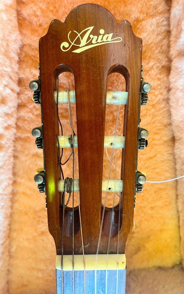 Aria Classical ~ A551B Vintage with Hard Case!