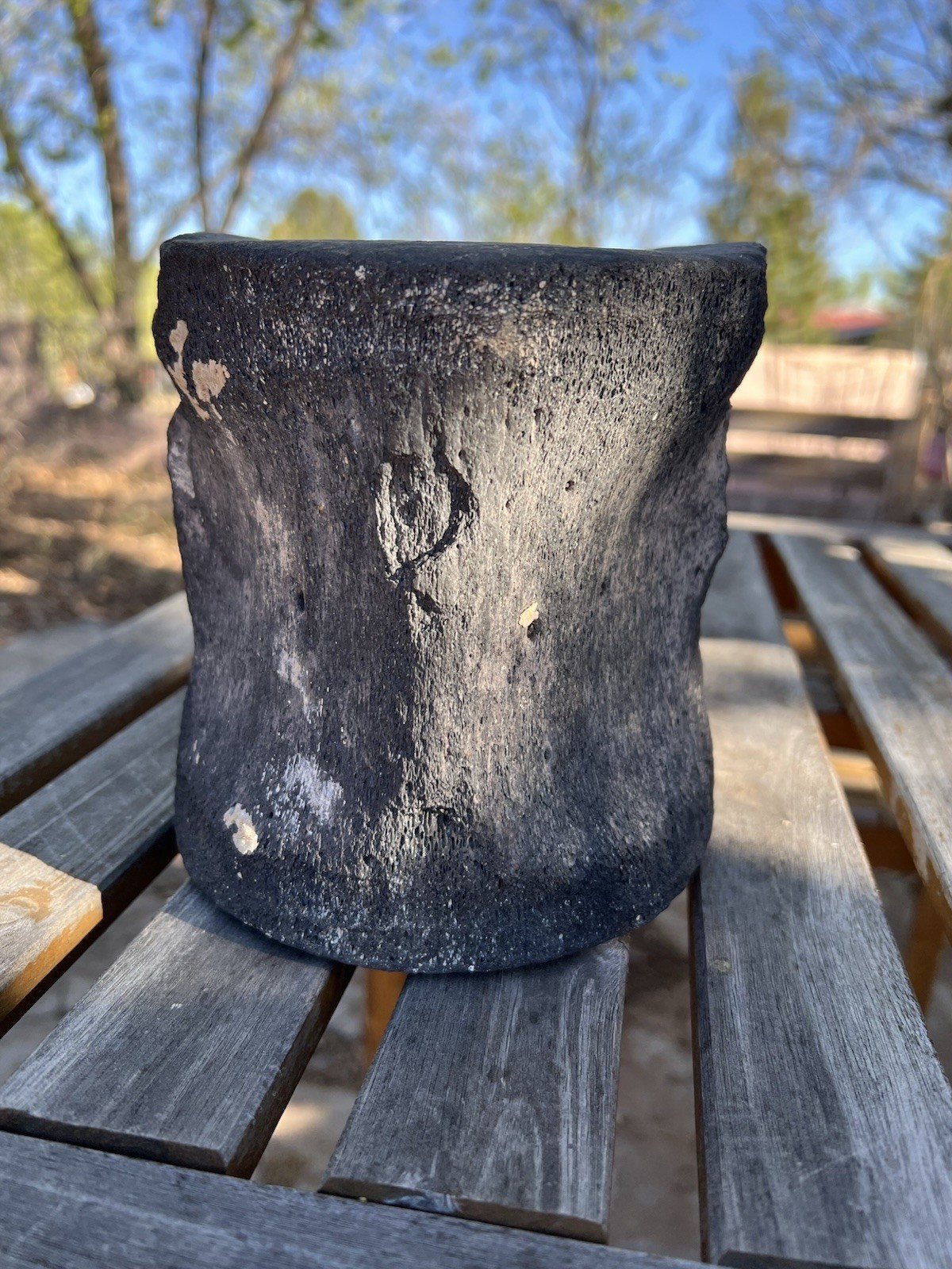 South Florida Whale Vertebrae Fossil