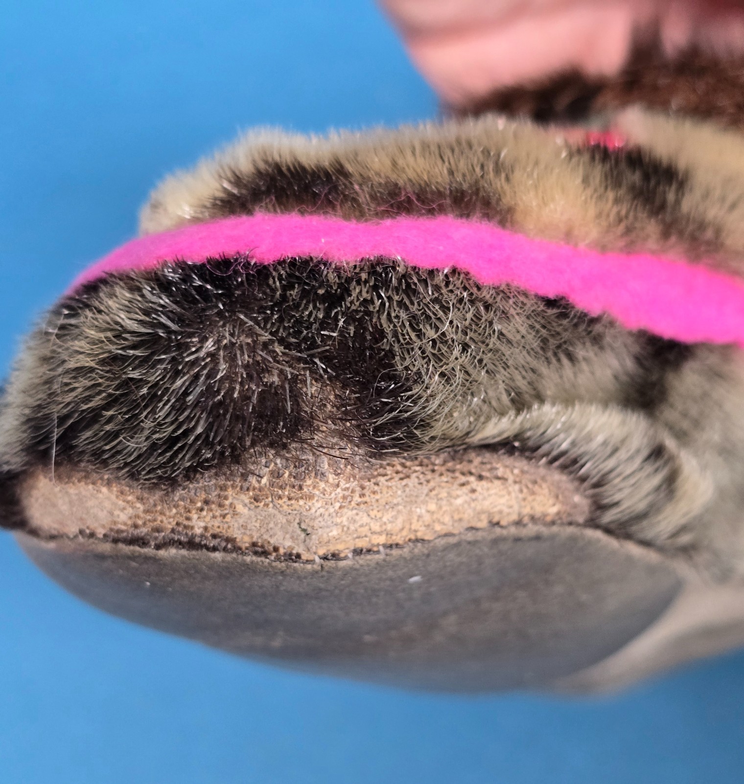 Vintage Handmade Alaska Native Inuit Eskimo Fur Slippers Beadwork 8.5-9