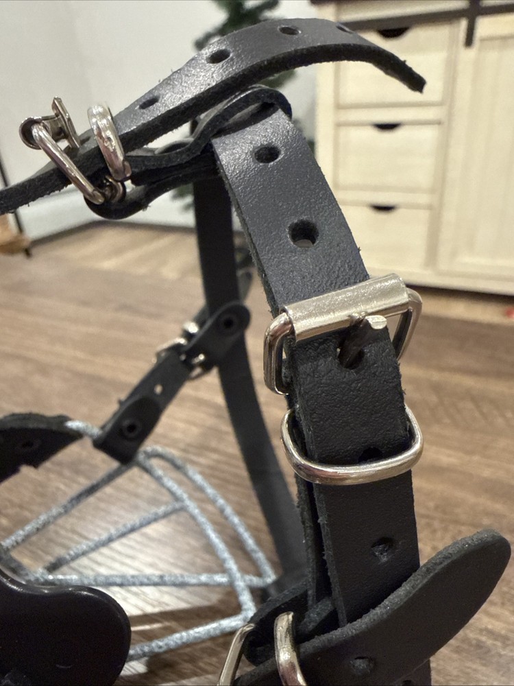 dog muzzle for small dogs