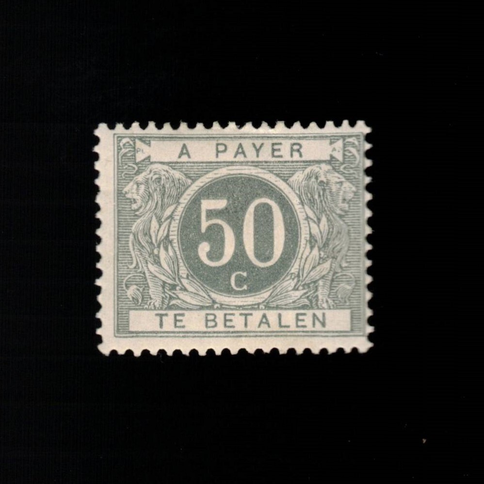Belgium, Scott J9, Postage Due, 1916, MH