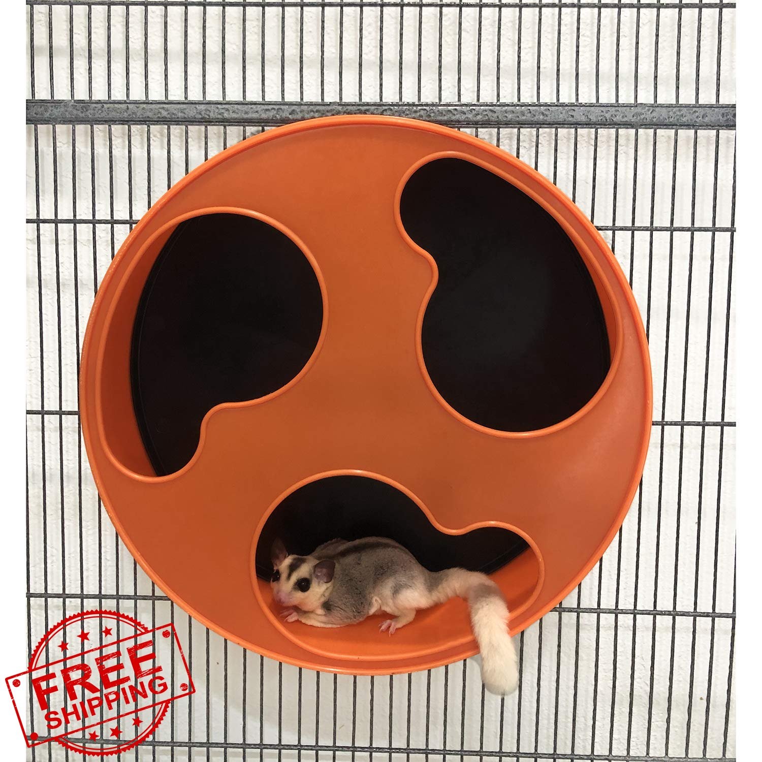 Silent Runner 12" with Autoclean | Sugar Glider Wheel