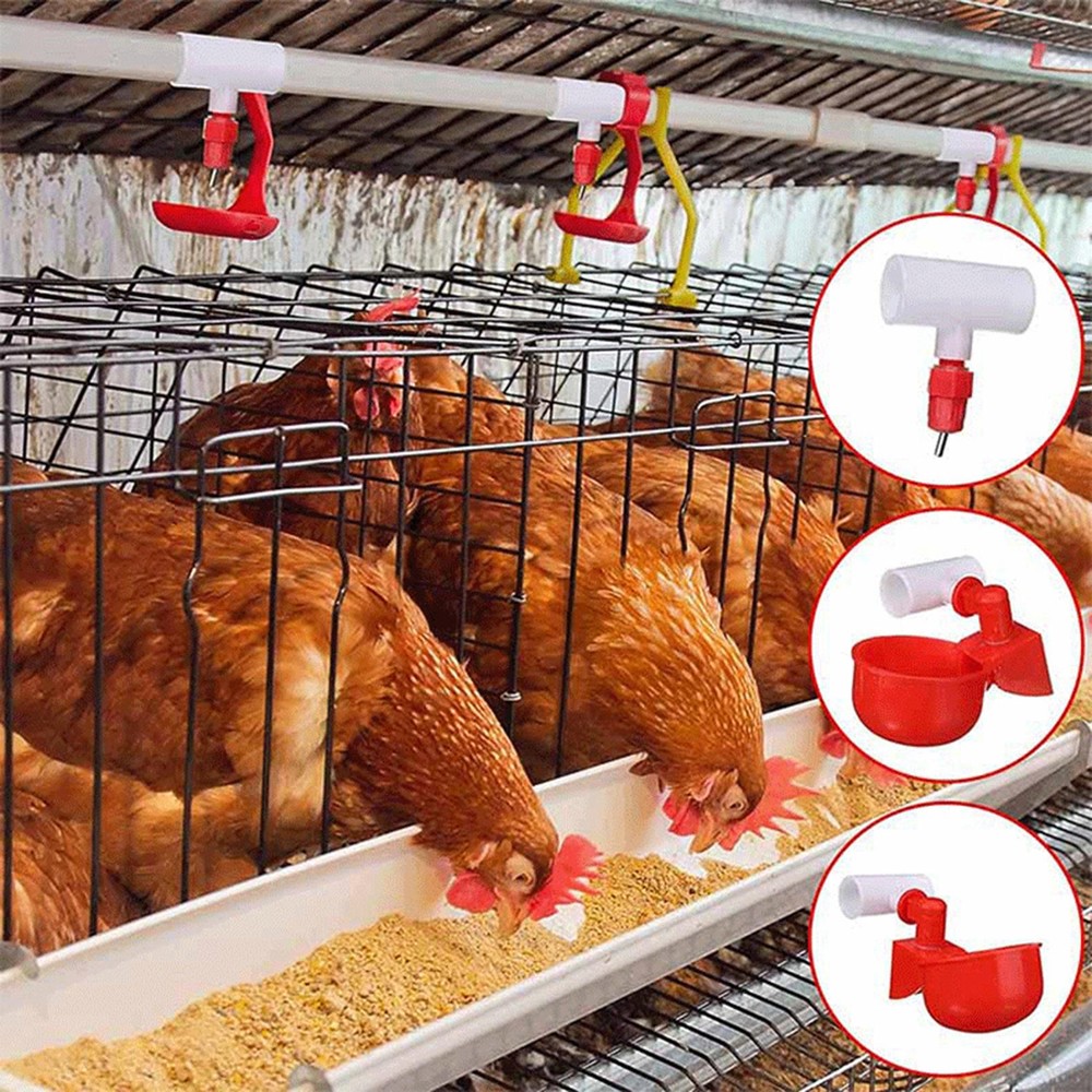 20PCS Poultry Water Drinking Cups Chicken Bird Automatic Drinker Feeder Nipple