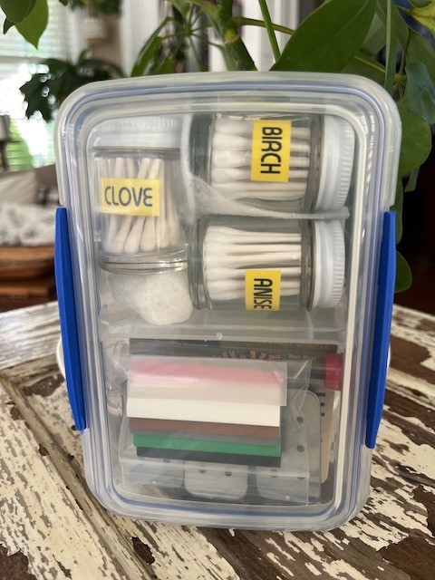 sistema Dog training kit