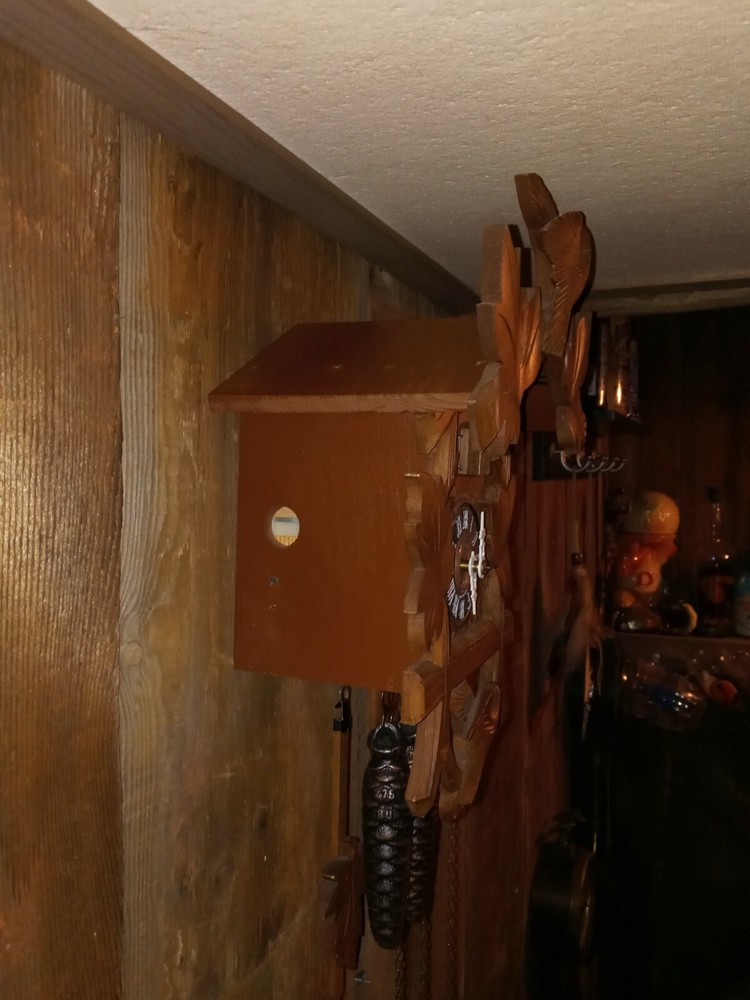 One Day Black Forest Muiscal Cucoo Clock