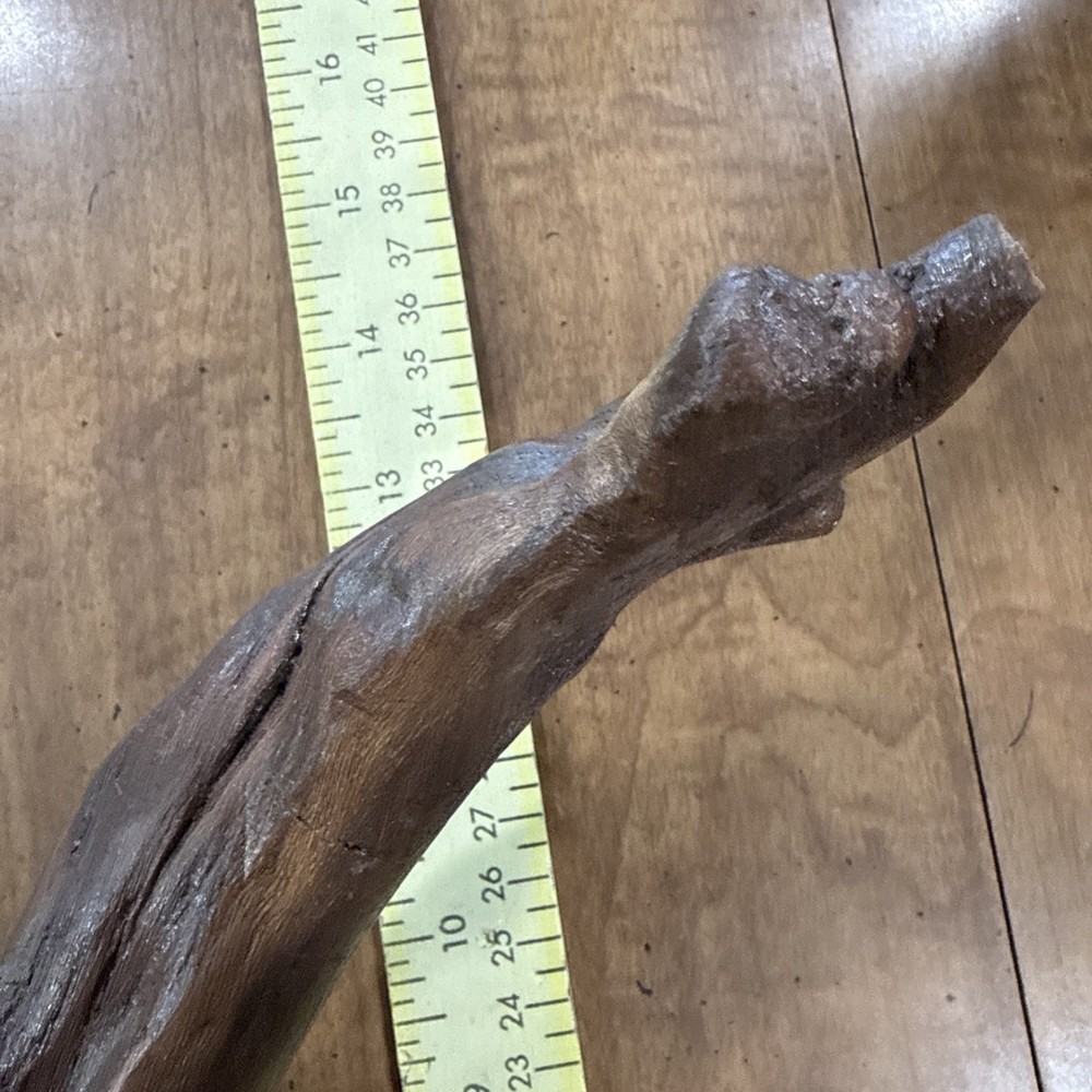 Driftwood Art Or Decoration