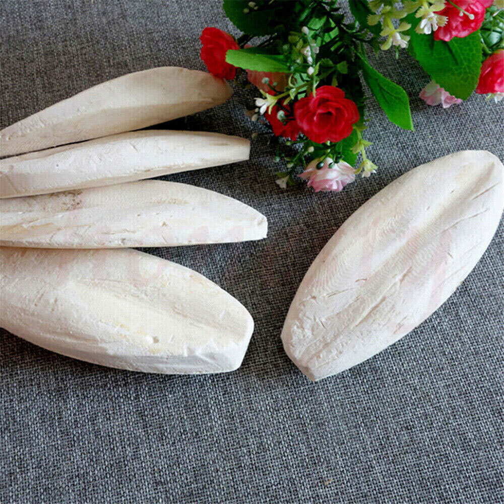 10/20X 2.4-3.1" Cuttlebone for Birds Parrot Chewing Cuttle Bone for Sharp Beaks·