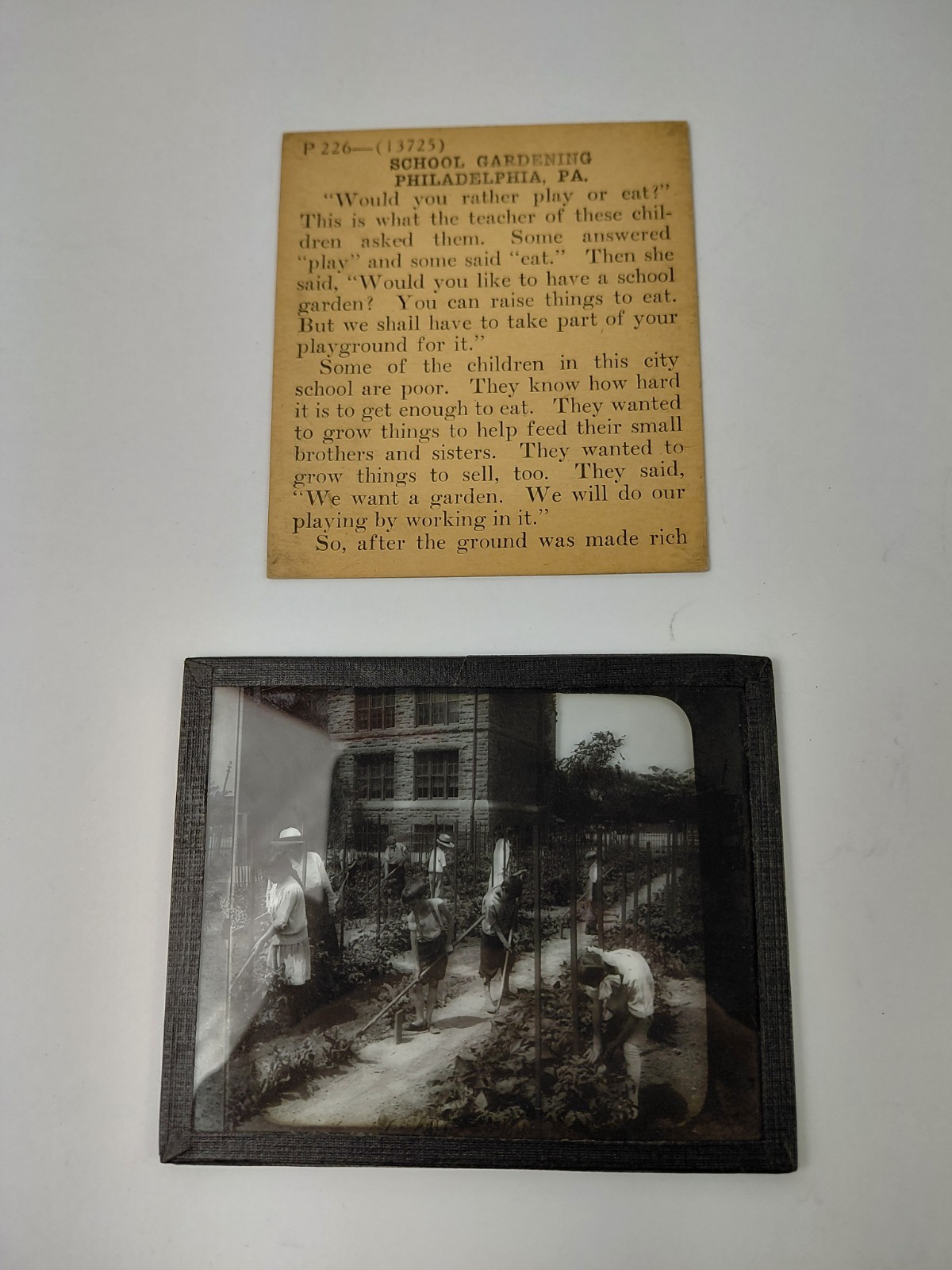 Magic Lantern Glass Slide Photo Keystone P226 School Garden w Children At Work