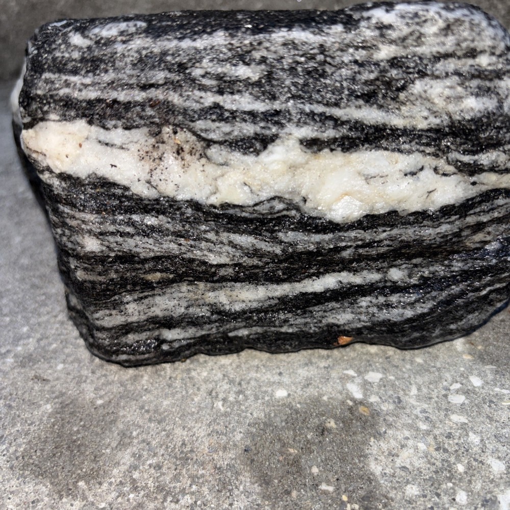 Gneiss Excellent Examples